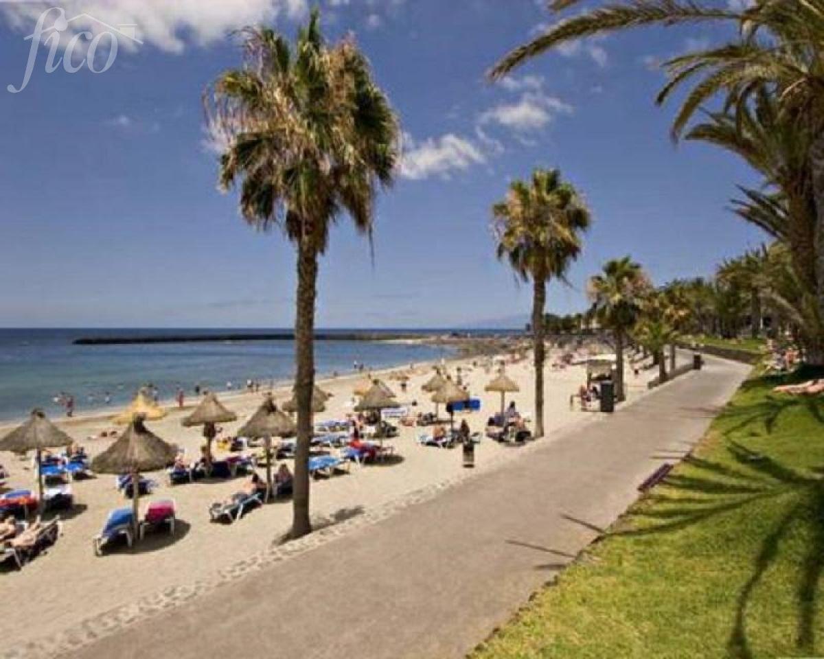 Tenerife - El Camison  Playa de la Américas - DTRC-1437 5