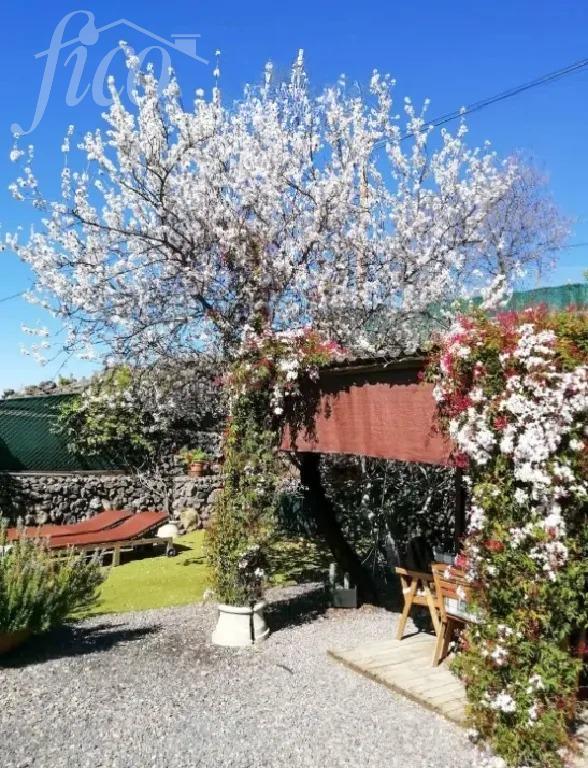 Tenerife - Guia de Isora 1