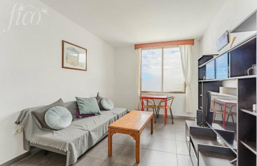 Tenerife - Torviscas Alto 1