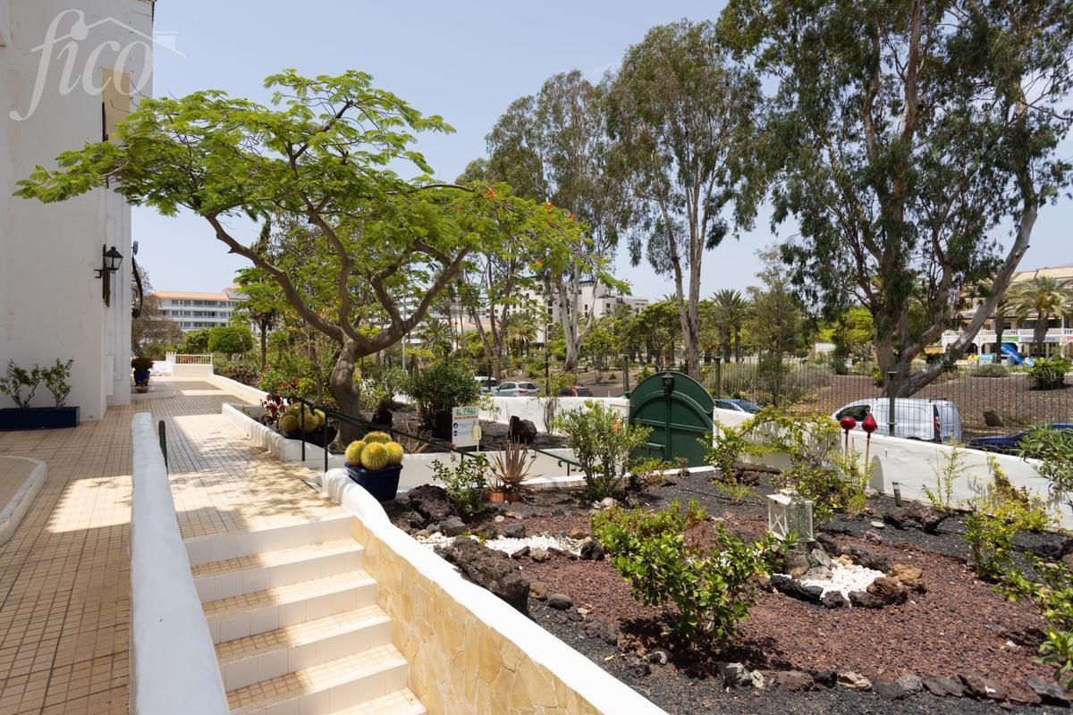 Tenerife - Los Cristianos 4