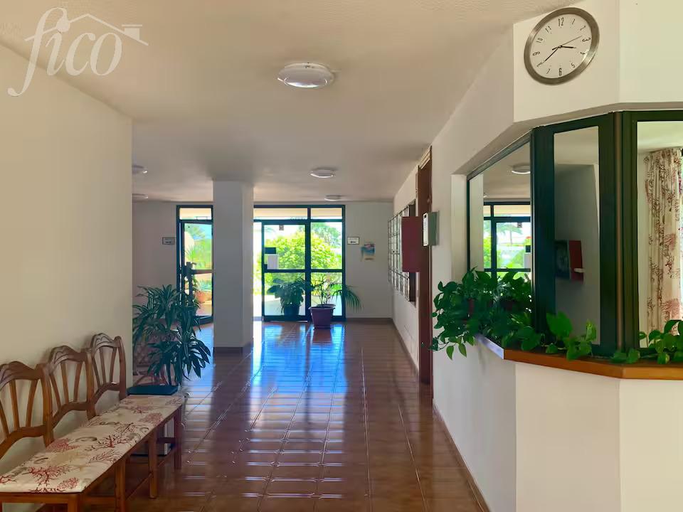 Tenerife - Los Cristianos 2