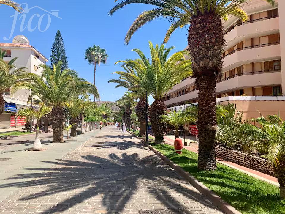 Tenerife - Los Cristianos 3