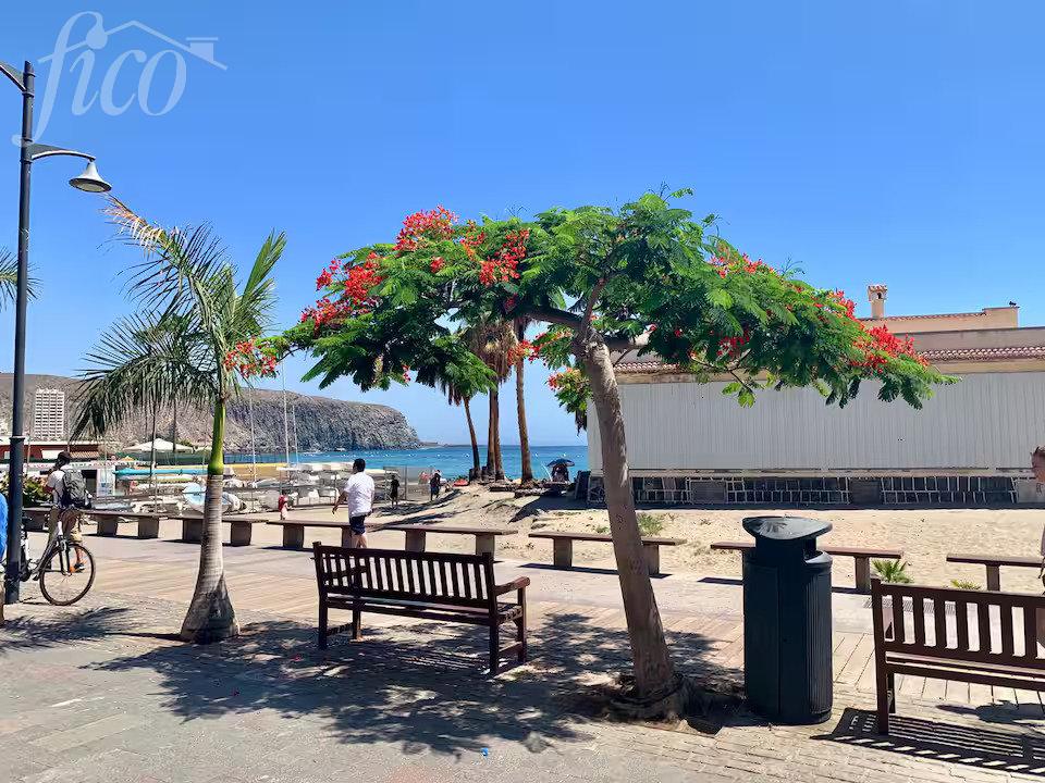 Tenerife - Los Cristianos 6