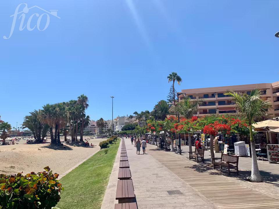 Tenerife - Los Cristianos 1
